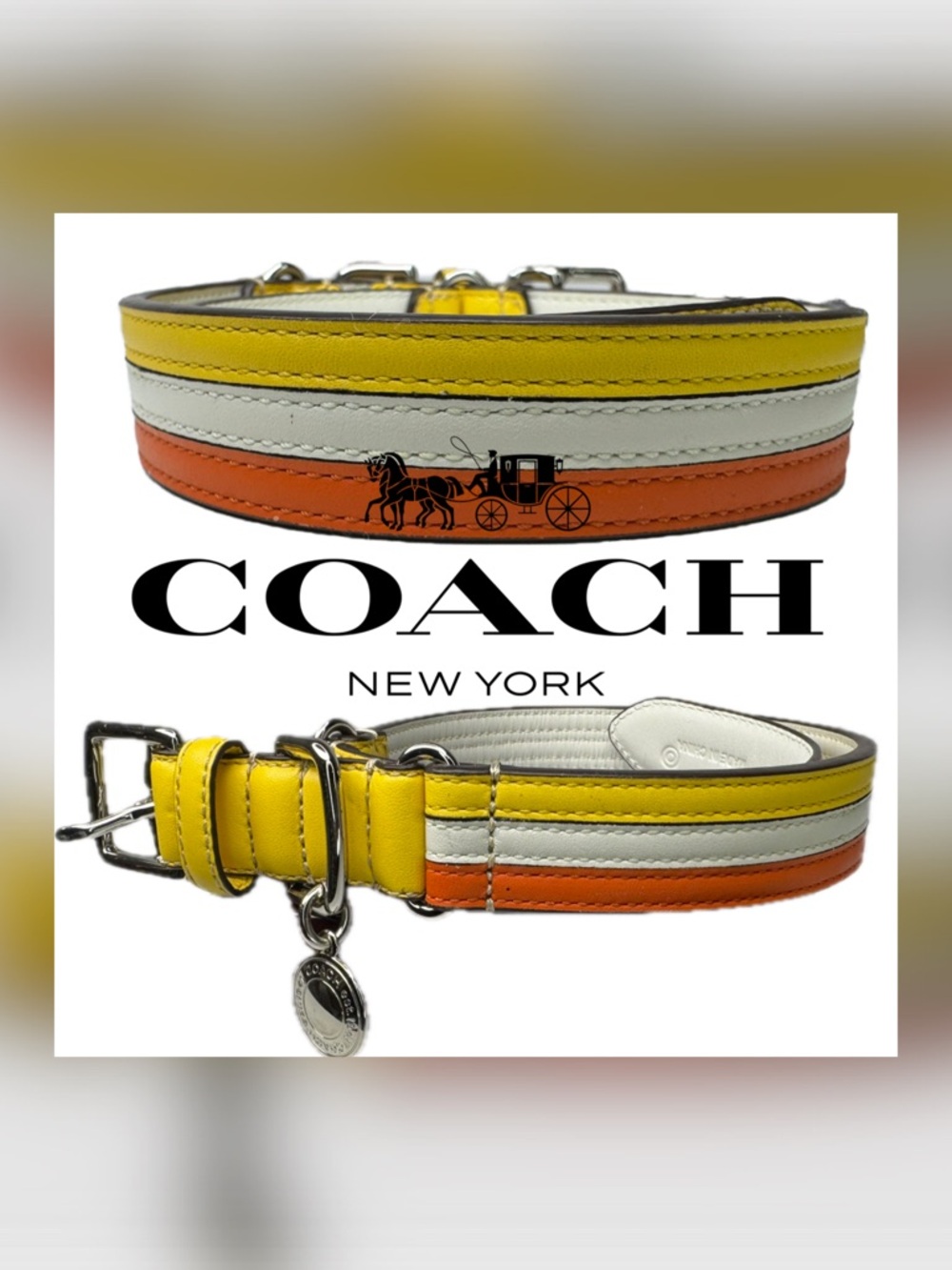 Coach Leather Y2K Striped Yellow White Orange Size Large 17-21” Dog Collar